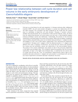 Power law relationship between cell cycle duration and cell volume
