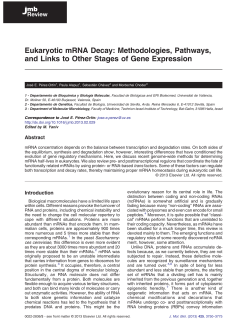 Eukaryotic mRNA Decay: Methodologies
