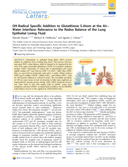 PDF (ACS AuthorChoice)