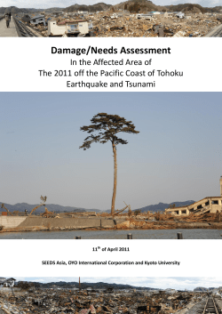 Damage/Needs Assessment in the Affected Area of The