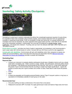 Snorkeling Safety Activity Checkpoints
