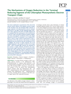 The Mechanisms of Oxygen Reduction in the Terminal Reducing