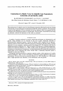 Construction of a Shuttle Vector for Inducible Gene Expression in