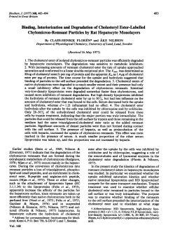 Binding, Interiorization and Degradation of Cholesteryl Ester