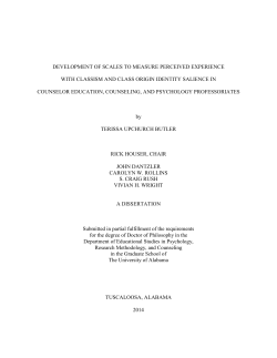 development of scales to measure perceived experience