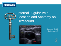 Internal Jugular Vein Location and Anatomy on