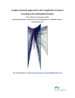 A super‐network approach to the complexity of nature