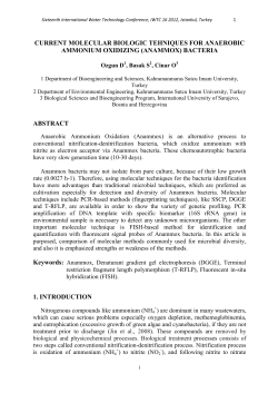 current molecular biologic techniques for anaerobic