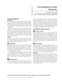 Fibrocartilaginous Embolic Myelopathy