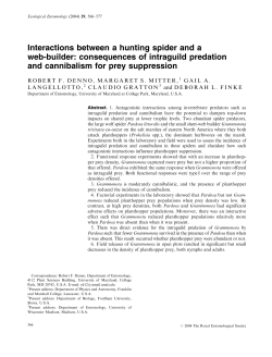 Interactions between a hunting spider and a web