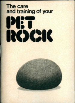 The-Care-and-Training-of-Your-Pet-Rock-Manual-by