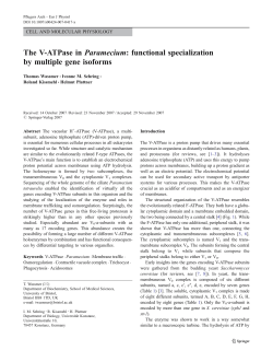 The V-ATPase in Paramecium: functional