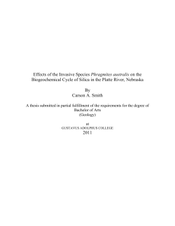 Phragmites australis on the Biogeochemical Cycle of Silica