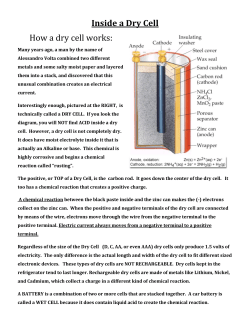 Inside a Dry Cell