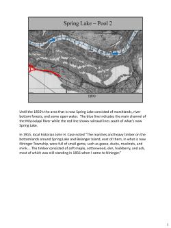 Until the 1850`s the area that is now Spring Lake consisted of