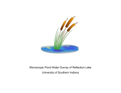 Microscopic Pond Water Survey - University of Southern Indiana