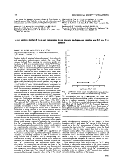 Golgi vesicles isolated from rat mammary tissue contain