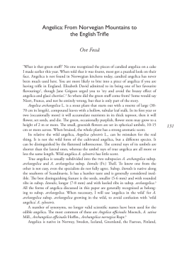 Angelica — from Norwegian mountains to the English trifle