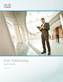 IPv6 Addressing White Paper&mdash;August 2013