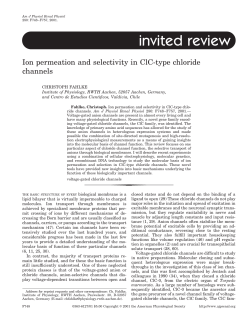 Ion permeation and selectivity in ClC