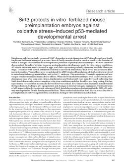 Sirt3 protects in vitro–fertilized mouse preimplantation embryos