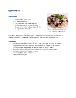 Gallo Pinto - Plan International USA