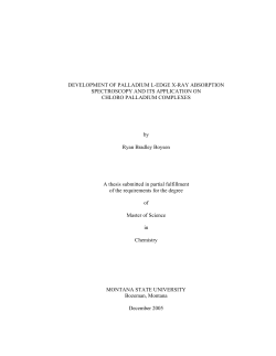 BoysenR0506 - ScholarWorks