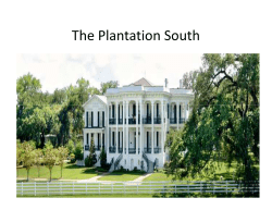 The Plantation South