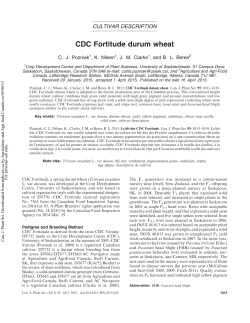CDC Fortitude durum wheat