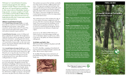 Conrad Station Savanna - The Nature Conservancy