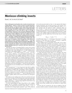 letters - MIT Mathematics