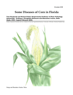 C:\Documents and Settings\crs\M