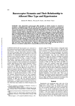 Baroreceptor Dynamics and Their Relationship to Afferent Fiber