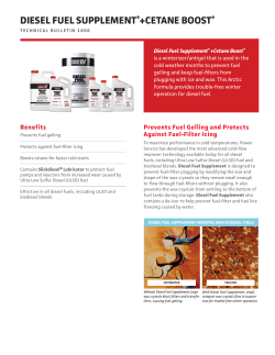 diesel fuel supplement®+cetane boost