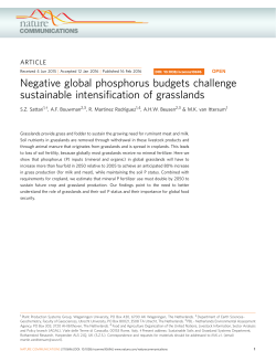 Negative global phosphorus budgets challenge sustainable