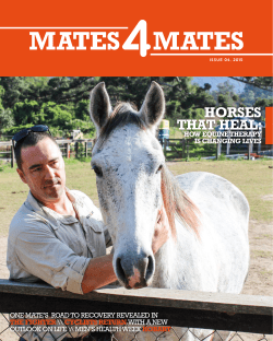 horses that heal