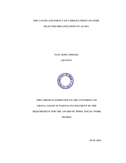 Paul Kofi Amegee_The Causes and Impact of Labour