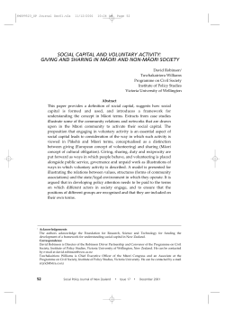 social capital and voluntary activity