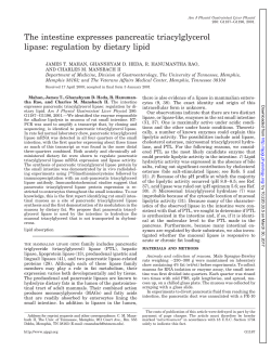 The intestine expresses pancreatic triacylglycerol lipase: regulation
