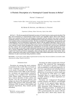 A Floristic Description of a Neotropical Coastal Savanna in Belize1