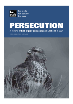 persecution