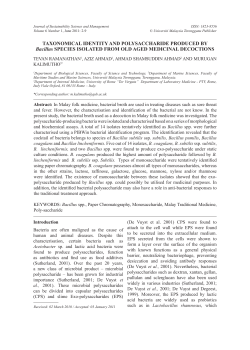 TAXONOMICAL IDENTITY AND POLYSACCHARIDE PRODUCED