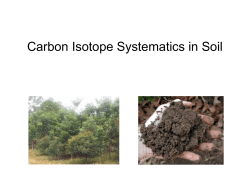 Carbon Isotope Systematics in Soil