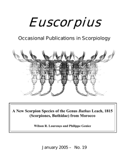 (Scorpiones, Buthidae) from Morocco