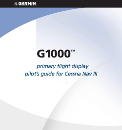 Primary Flight Display Pilot`s Guide