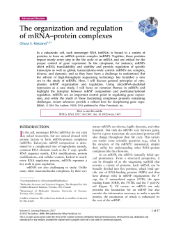 The organization and regulation of mRNA