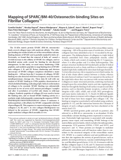 Mapping of SPARC/BM-40/Osteonectin