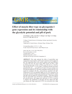 Effect of muscle-fiber type on glycogenin-1 gene