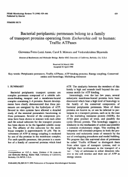 Bacterial periplasmic permeases belong to a family of transport