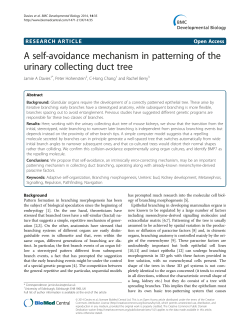 A self-avoidance mechanism in patterning of the urinary collecting
